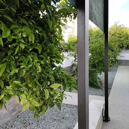 Villa Michael Angelo Paphos