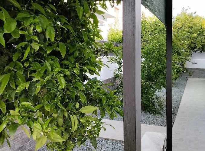 Villa Michael Angelo Paphos